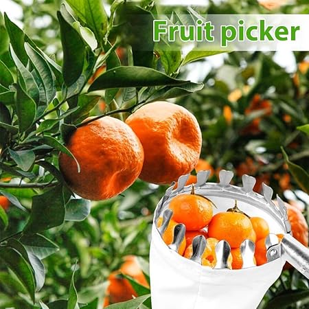 A telescopic fruit plucker tool with an alloy steel pole and a white catching net attached to the top.