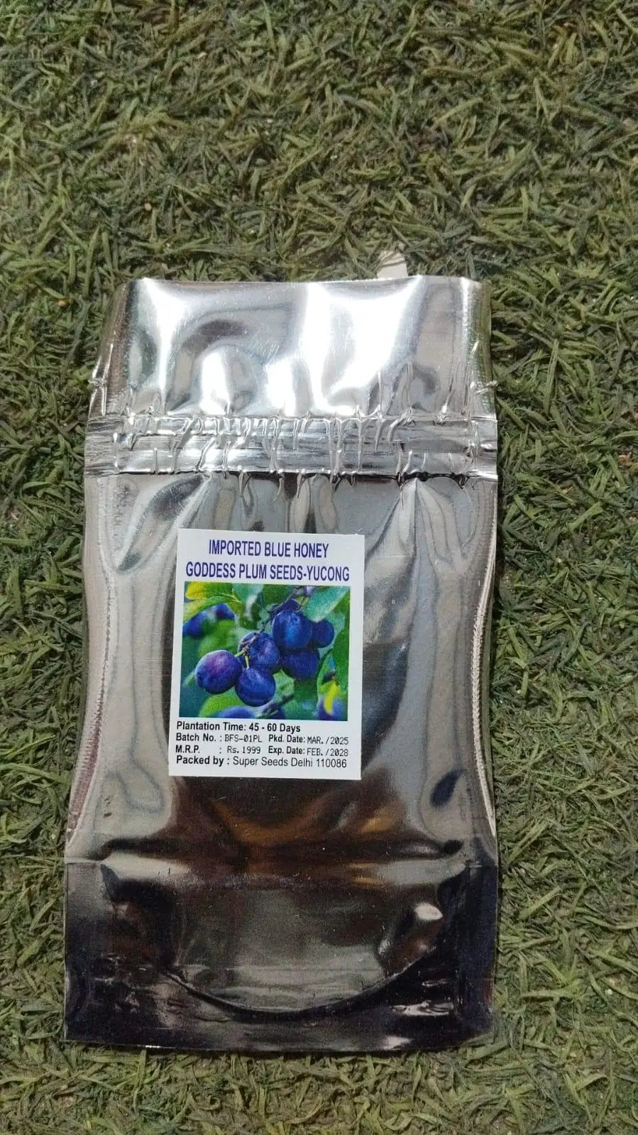 Blue Honey Goddess Plum Seeds - Pack of 1