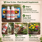 Rose Flower Seeds and Plant Growth Supplement Combo (Pack of 2)