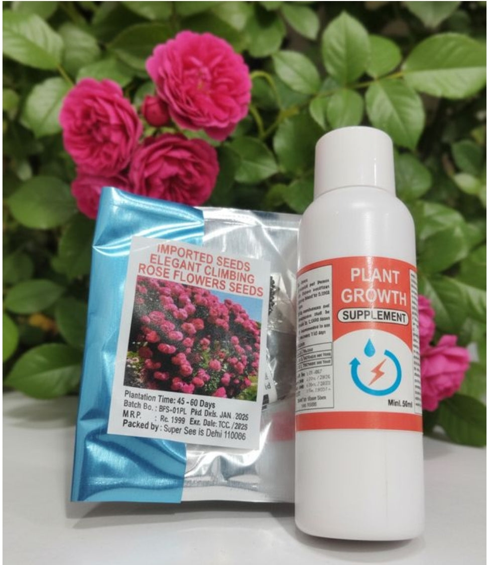 Close up of two packets of AI Elegant climbing rose flower seeds