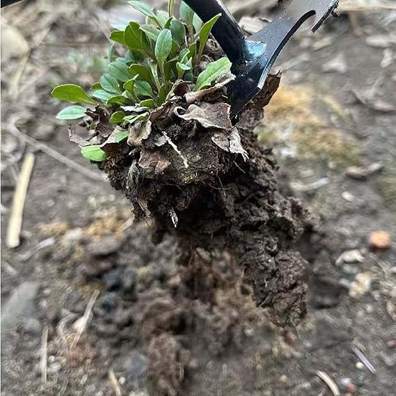 Garden Weeder Tool for Digging and Root Removal