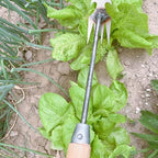 Garden Weeder Tool for Digging and Root Removal