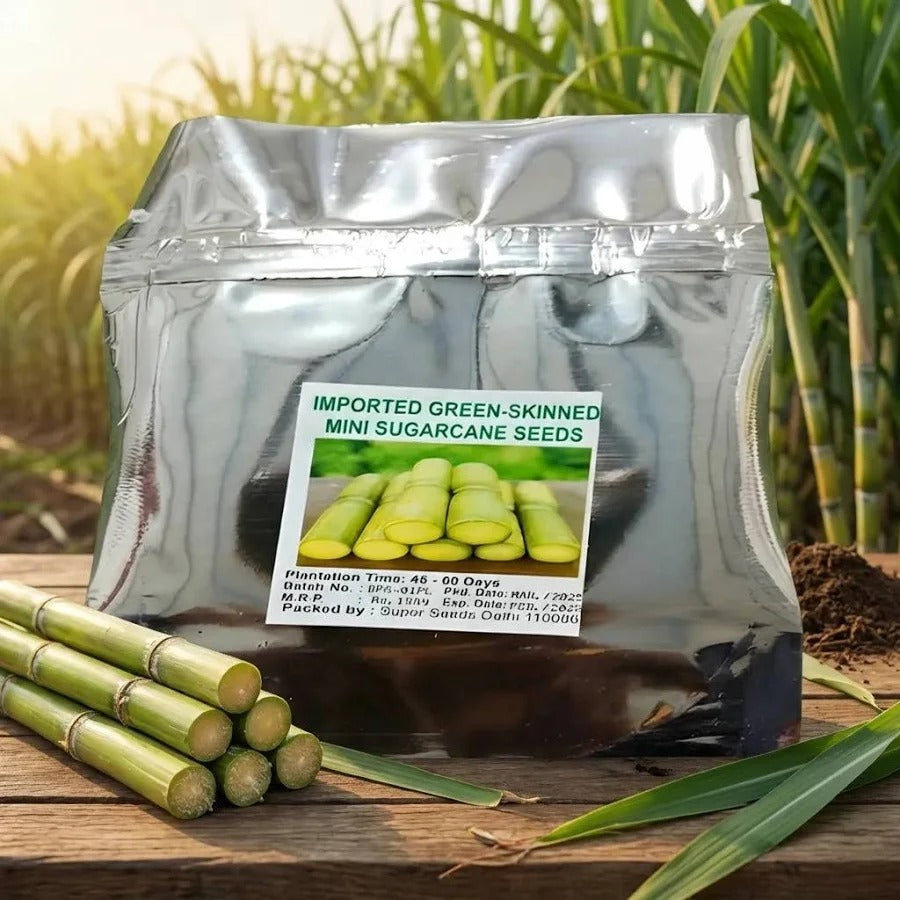 Imported green skinned mini sugarcane seeds and plant booster kit in packaging