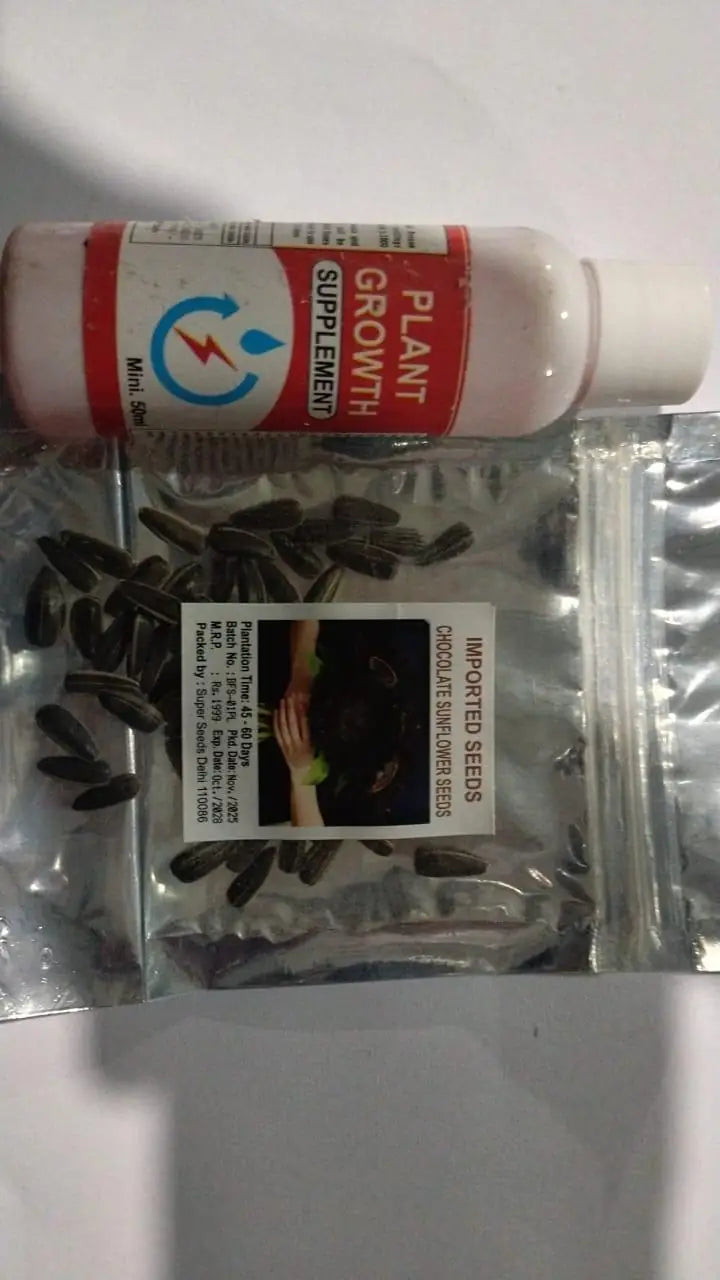 Chocolate Sunflower Seeds for Planting and Growth