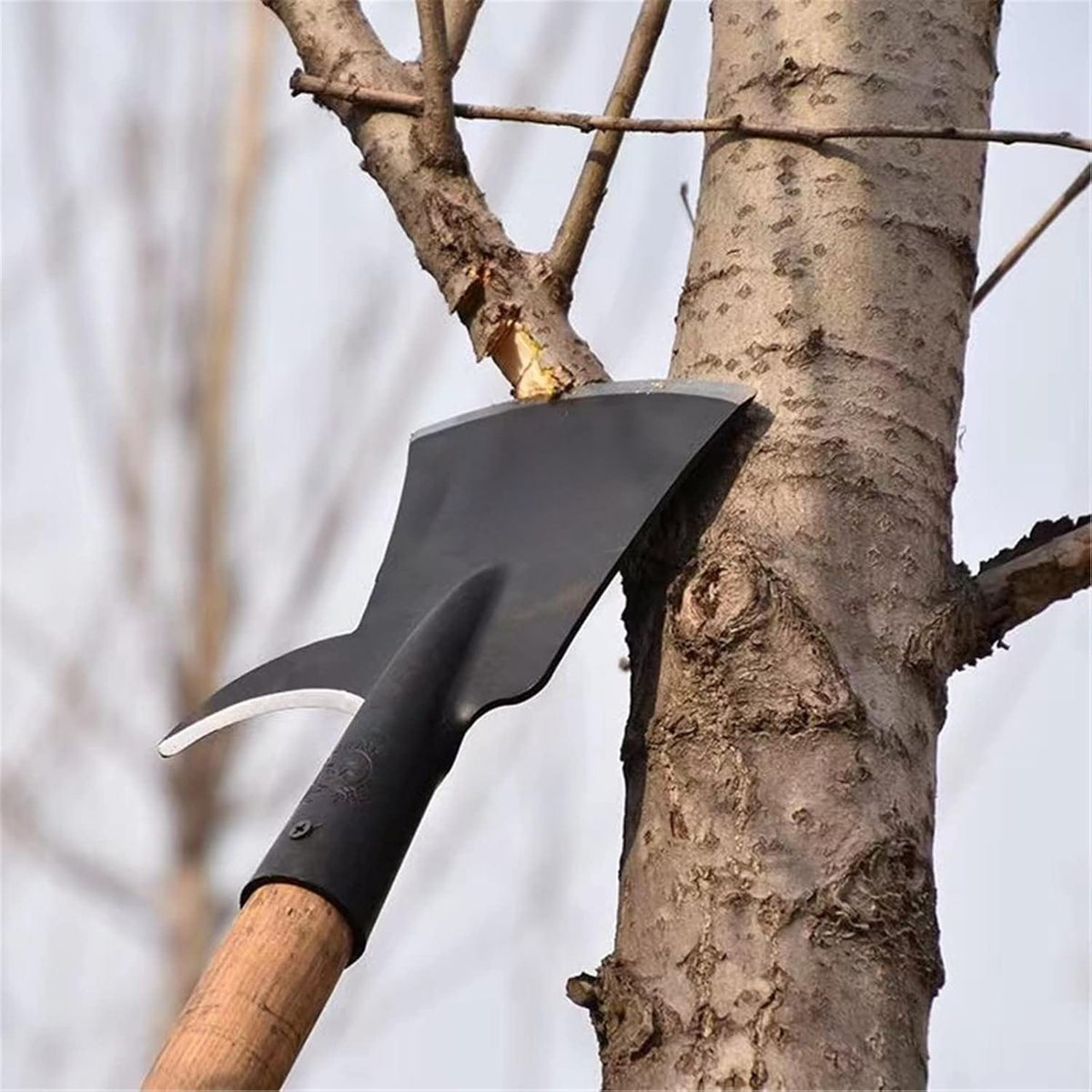 Palm Tree Trimmer - Alloy Steel Pruning Tool
