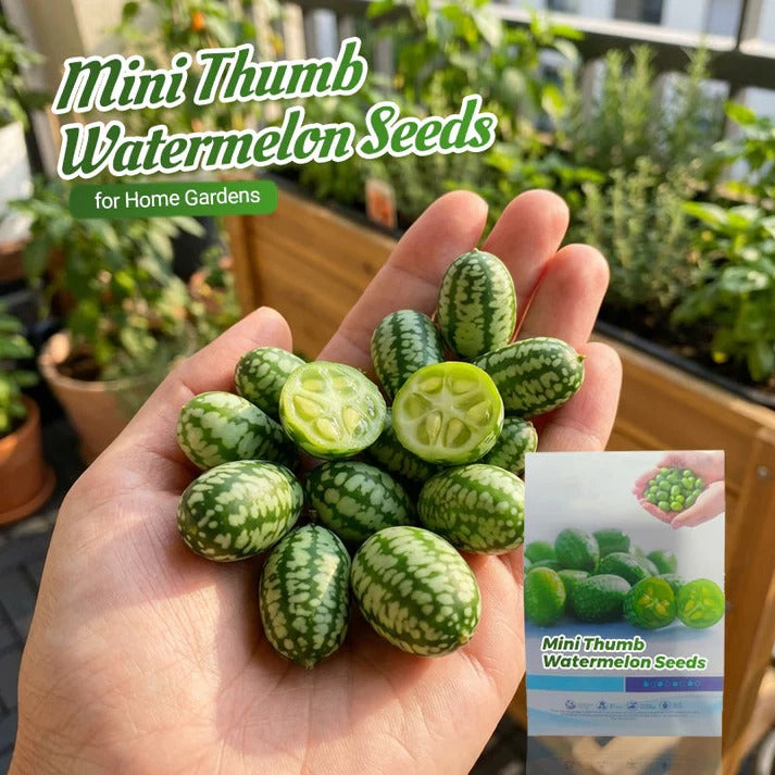 Two packets of natural mini watermelon seeds laid side by side